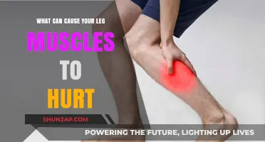 Why Your Leg Muscles Hurt: Common Causes and Remedies Explained