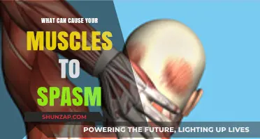 Understanding Muscle Spasms: Common Causes and Triggers Explained