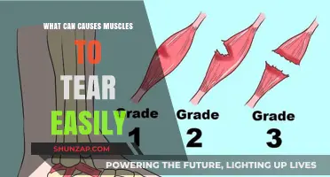 Why Muscles Tear Easily: Causes, Prevention, and Recovery Tips