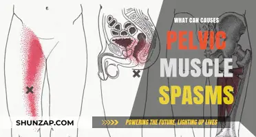 Understanding Pelvic Muscle Spasms: Causes, Symptoms, and Effective Relief Strategies