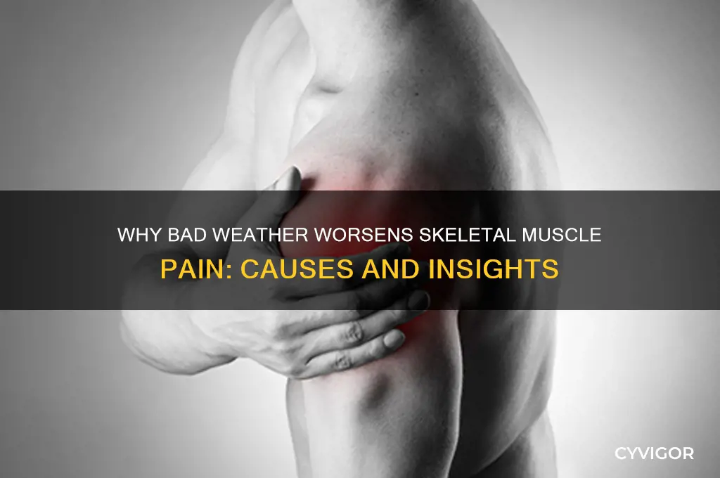 what can causes skeletal muscle pain increased with bad weather