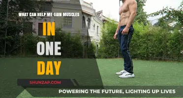 Quick Muscle Gains: Effective Strategies for Visible Results in 24 Hours