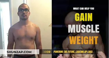 Effective Strategies to Build Muscle Mass and Strength