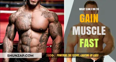 Effective Strategies to Build Muscle Quickly and Sustainably