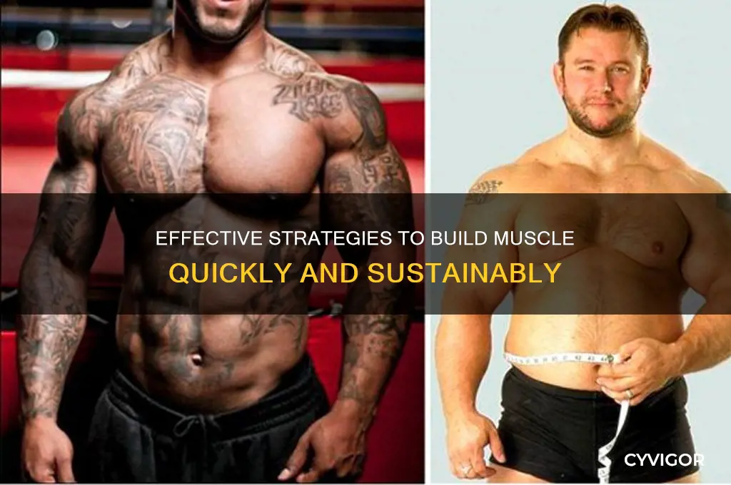 what can i do to gain muscle fast