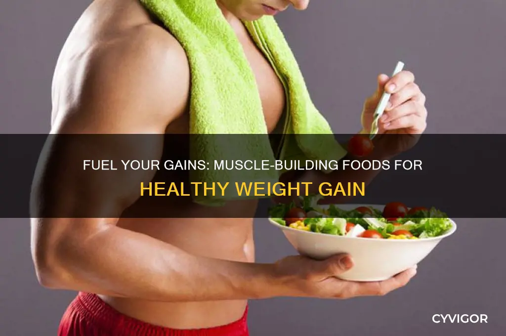 what can i eat to gain weight and muscle