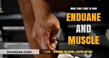 Boost Endurance and Muscle: Top Supplements for Strength and Stamina
