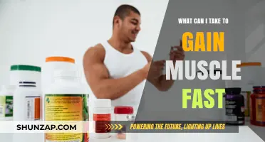 Effective Supplements and Strategies for Rapid Muscle Gain