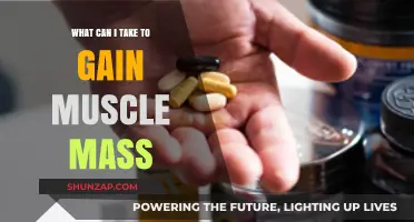 Effective Supplements and Strategies to Build Muscle Mass Fast