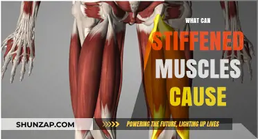 Stiffened Muscles: Uncovering the Surprising Causes and Hidden Health Risks