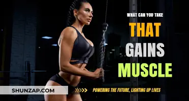 Effective Muscle-Building Supplements and Strategies for Optimal Growth