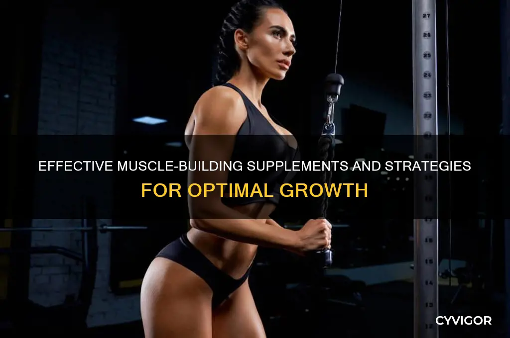 what can you take that gains muscle