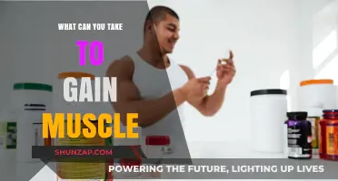 Effective Supplements and Strategies to Maximize Muscle Gain Naturally