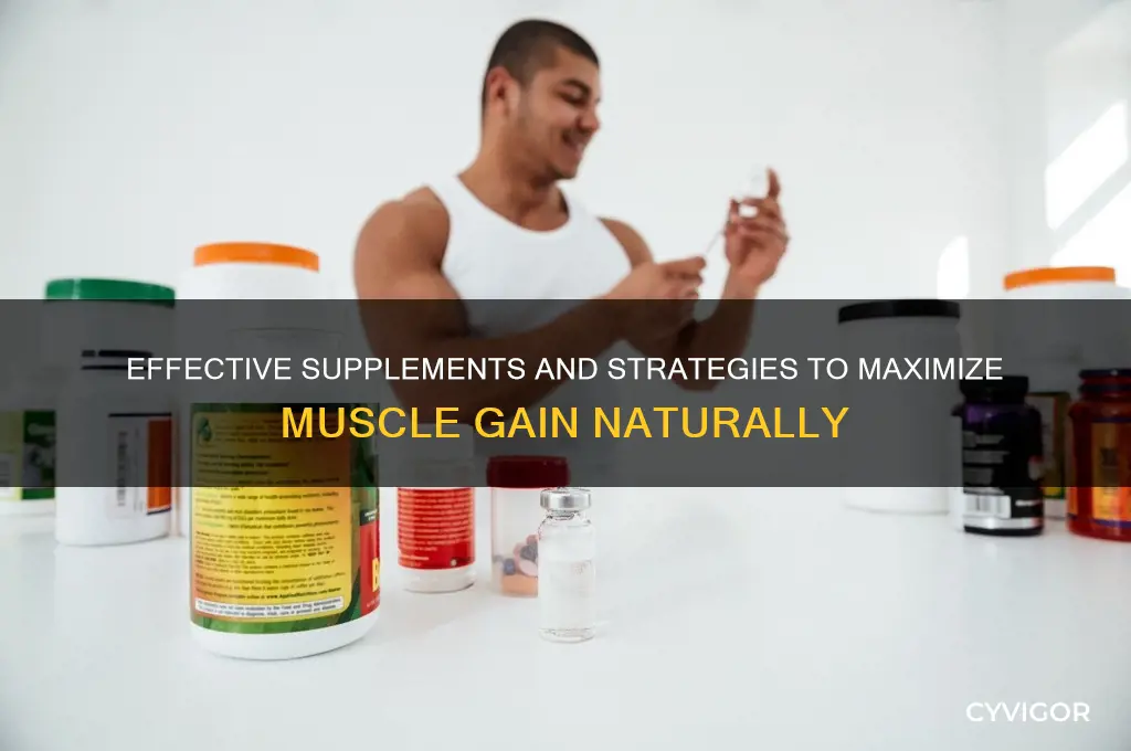 what can you take to gain muscle