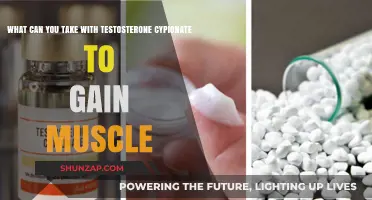 Maximize Muscle Gains: Best Supplements to Pair with Testosterone Cypionate