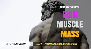 Effective Strategies and Tools to Build Muscle Mass Quickly