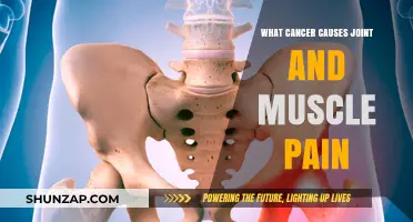 Understanding Cancer's Impact: Why Joint and Muscle Pain Occur