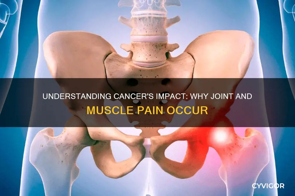 what cancer causes joint and muscle pain
