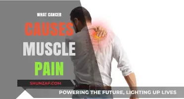Understanding the Link: How Cancer Triggers Persistent Muscle Pain