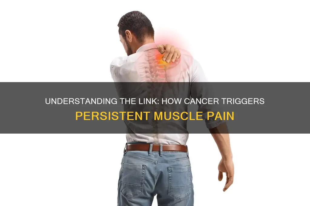 what cancer causes muscle pain