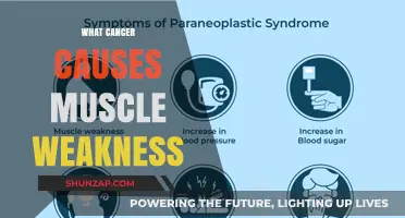 Understanding Cancer's Impact: How Tumors Lead to Muscle Weakness