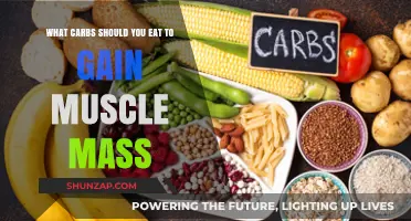 Fuel Your Muscle Growth: Best Carbs for Mass Building