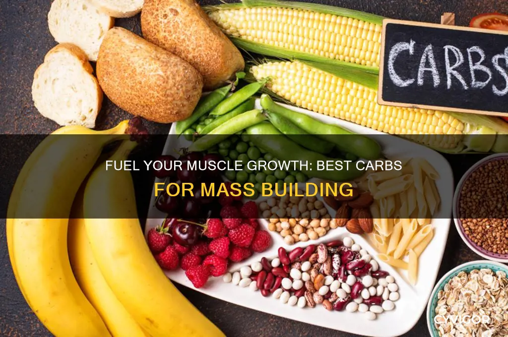 what carbs should you eat to gain muscle mass