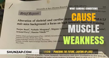 Cardiac Conditions Linked to Muscle Weakness: Causes and Symptoms
