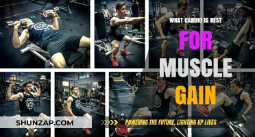 Maximize Muscle Growth: Best Cardio Strategies for Strength Training
