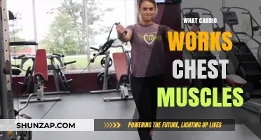 Effective Cardio Exercises to Engage and Strengthen Your Chest Muscles