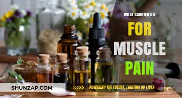 Best Carrier Oils for Muscle Pain Relief: A Comprehensive Guide