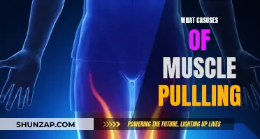 Understanding Muscle Pulls: Causes and Prevention
