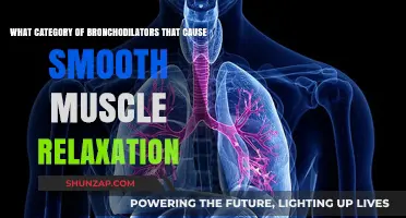Bronchodilators Unveiled: Understanding Smooth Muscle Relaxation Categories