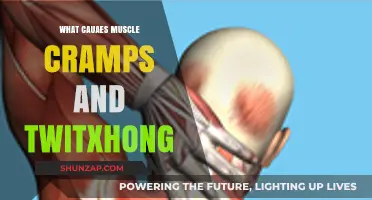 Unraveling the Mystery: What Causes Muscle Cramps and Twitching?
