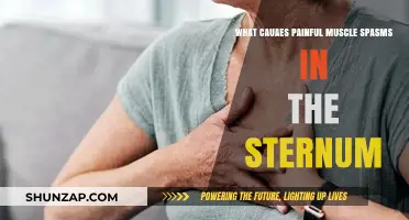 Sternum Muscle Spasms: Causes of Painful Chest Contractions Explained
