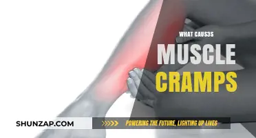 Unraveling the Mystery: What Triggers Muscle Cramps?