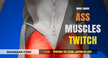 Why Do Your Glute Muscles Twitch? Causes and Remedies Explained