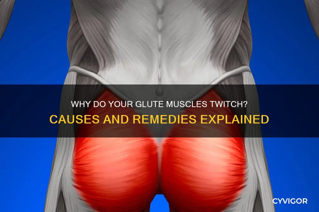 what cause ass muscles twitch