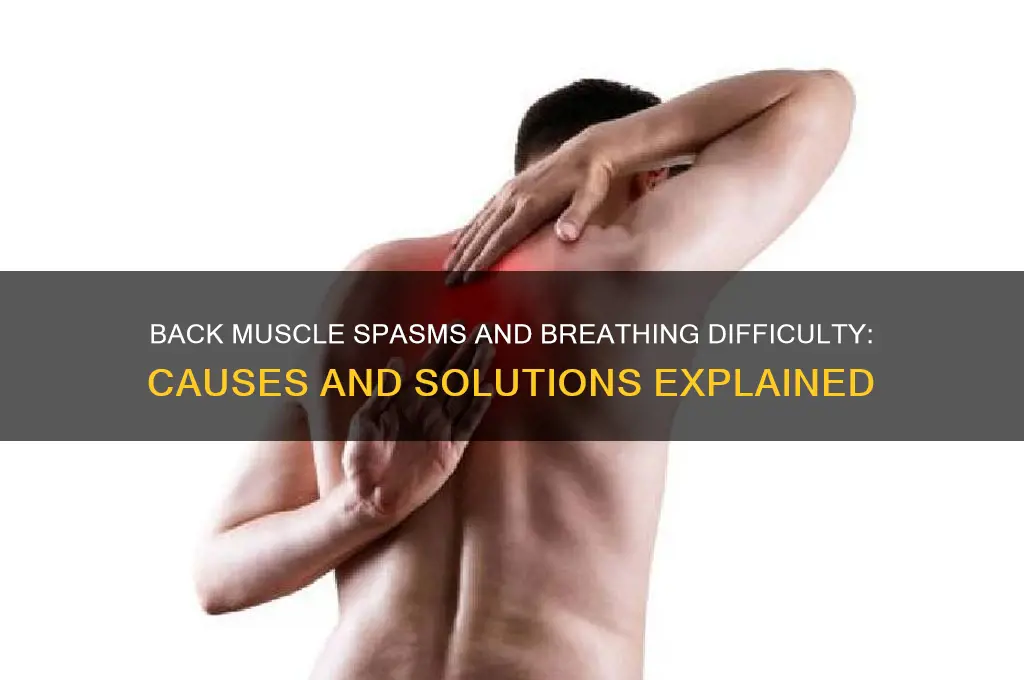 what cause back muscle spasm and can