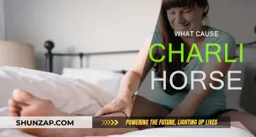 Understanding Charlie Horses: Causes and Prevention