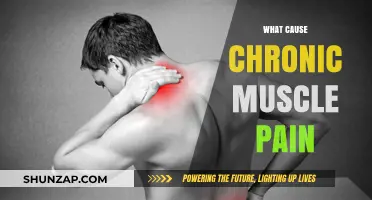Unraveling Chronic Muscle Pain: Causes, Triggers, and Underlying Factors