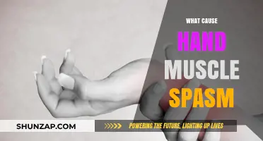 Understanding Hand Muscle Spasms: Causes, Triggers, and Prevention Tips