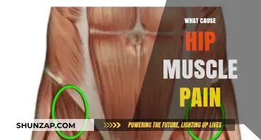Understanding Hip Muscle Pain: Common Causes and Effective Relief Strategies