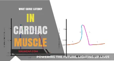 Understanding Latency Causes in Cardiac Muscle: Key Factors Explained