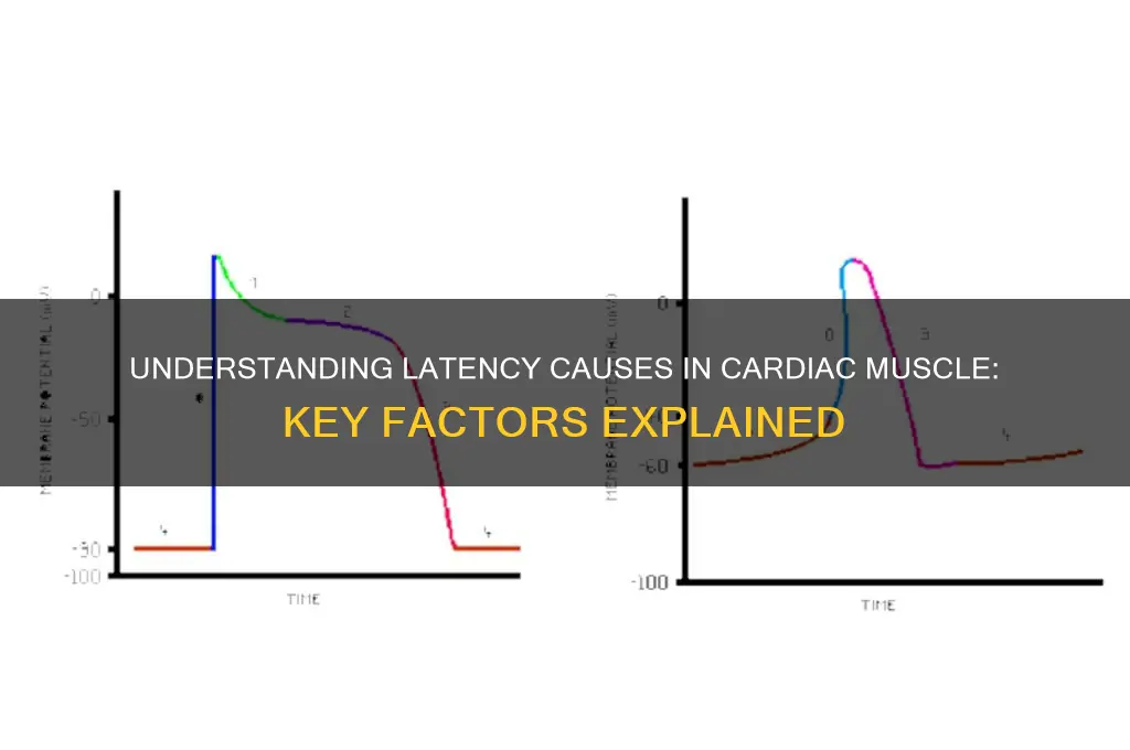 what cause latency in cardiac muscle