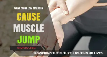 Low Estrogen and Muscle Twitching: Understanding the Hormonal Connection