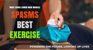 Effective Exercises to Relieve Lower Back Muscle Spasms and Causes