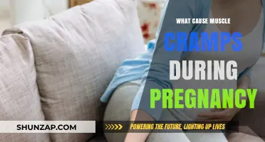 Understanding Muscle Cramps During Pregnancy: Causes and Relief Tips