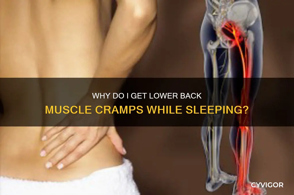 what cause muscle cramps in lower back while sleeping