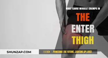 Understanding Inner Thigh Muscle Cramps: Causes and Prevention Tips